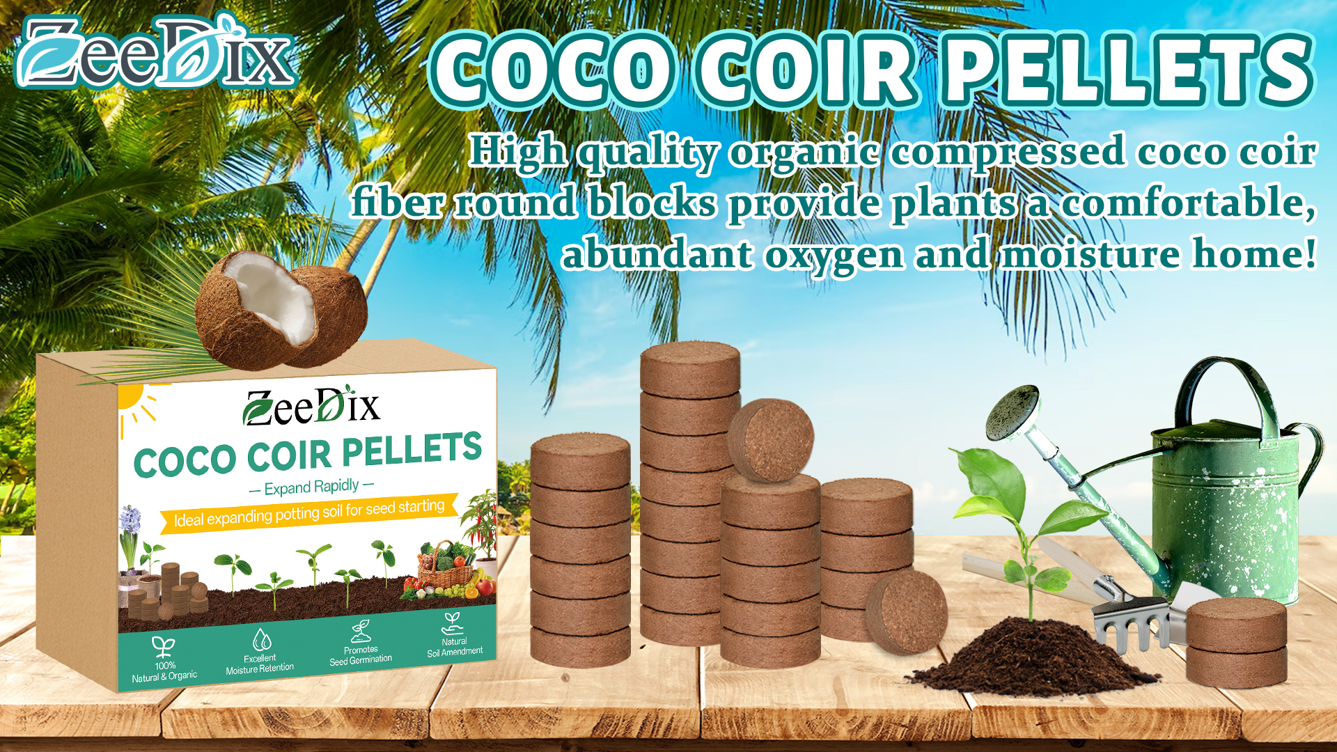 Amazon.com : ZeeDix 50 Pcs 30mm Organic Coco Coir Pellets for Seed